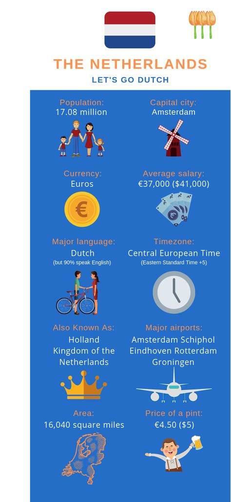 Moving to the Netherlands from the US in 2020 | MoveHub Moving To The Netherlands, International Move, Rotterdam Netherlands, The Hague, Eindhoven, Countries Of The World, Capital City, Rotterdam, The Netherlands