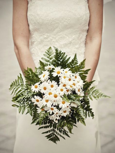 {Beautiful Bouquet Of White/Yellow Daisies, & Green Leather Leaf Fern} Daisy Bouquet Wedding, Fern Bouquet, Simple Wedding Bouquets, Daisy Wedding, Daisy Bouquet, Wedding Dresses Cinderella, Hand Bouquet, Yellow Wedding, Italian Wedding