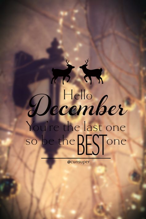 Hello December Images Quotes, December Is Coming, Christmas Is Coming Quotes, Hello December Images, Its December, Christmas Month, Pink Wallpaper Quotes, December Images, Hello Quotes