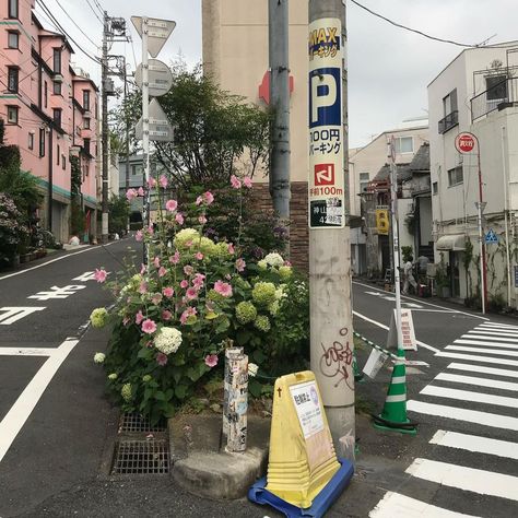 Japan Aesthetic, Mood And Tone, Aesthetic Japan, Japan Photo, Japanese Aesthetic, Aesthetic Themes, Nature Aesthetic, Pretty Places, Pastel Aesthetic