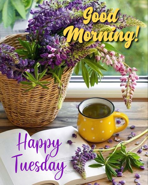 Quotes To Make Your Day, Happy Tuesday Images, Beautiful Tuesday, Happy Tuesday Morning, Tuesday Quotes Good Morning, Tuesday Images, Tuesday Greetings, Terrific Tuesday, Hello Tuesday