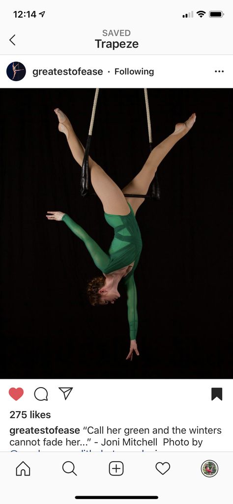 Trapeze Circus, Aerial Gymnastics, Aerial Costume, Circus Aesthetic, Tap Costumes, Trapeze Artist, Aerial Fitness, Aerial Acrobatics, Aerial Dance