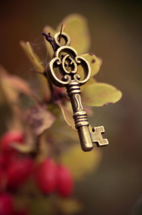 Old Key Crafts, Scary Fairy, Steampunk Key Necklace, Autumn Tale, Steampunk Key, Alice In Wonderland Illustrations, Aesthetic Pfps, Bible Journal Notes, Old Keys