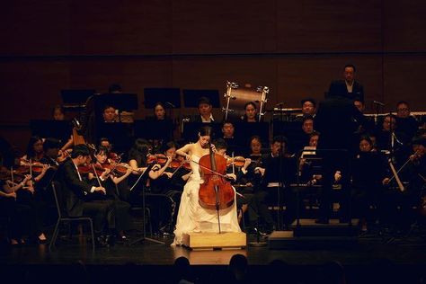 Music Orchestra Aesthetic, Classical Musician Aesthetic, Cello Pictures, Cello Performance, Cello Aesthetic, Orchestra Aesthetic, Classical Orchestra, Classical Instruments, Nana Ouyang