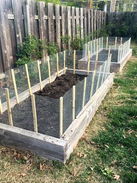 DIY garden fence ideas that include cheap and easy projects with links on how to build them to protect veggies from dogs, deer and rabbits. Diy Garden Fence Ideas, Fenced Vegetable Garden, Garden Fence Ideas, Diy Garden Fence, Vegetable Garden Raised Beds, Building A Raised Garden, Plants Growing, Diy Fence, Home Vegetable Garden