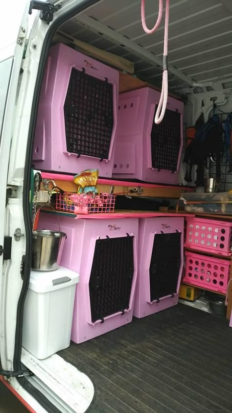 Suv Dog Set Up, Pet Shelter Ideas, Dog Crate Enrichment, Dog Sanctuary Ideas Animal Rescue, Pocket Bullies, Dog Box For Truck, Dog Van, Animal Rescue Ideas, Dog Transport