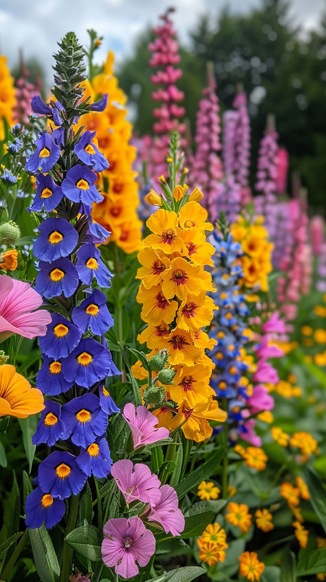 Must-Have Tall Perennial Flowers for Your Garden: 15 Varieties Come Flower Garden, Beautiful Plants For Garden, Tall Planter Flower Ideas, Boho Flower Garden, Flowers In Garden Ideas, Colorful Perennial Garden, Garden Flower Combinations, Flower Planting Ideas Outdoor, Ontario Perennial Garden