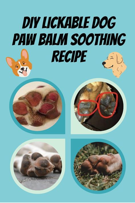 Our dogs also suffer from dry, cracked, or ripped feet. Hot and cold temperatures will dry out and damage the paws on their feet. However, there's nothing to worry about as you can make a DIY lickable dog paw balm soothing recipe for them. Here are steps on making them. Diy Dog Paw Balm Vegan, Homemade Dog Paw Balm, Dog Paw Soak Diy, Dog Paw Balm Recipe, Paw Balm For Dogs Diy, Diy Paw Balm For Dogs, Dog Balm For Paws, Diy Dog Paw Balm, Dog Paw Salve