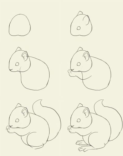 Learn To Master The Sweet And Playful Squirrel Art - Bored Art Draw A Squirrel, Trin For Trin Tegning, Oppgaver For Barn, Squirrel Art, A Squirrel, Art Drawings For Kids, Drawing Lessons, Step By Step Drawing, Doodle Drawings