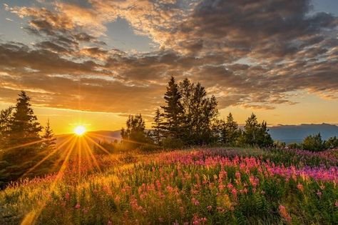 Mountain top Sunset by jeffehlers - Lens Flares Photo Contest Panoramic Art, Hdr Photos, Scenic Photos, Beautiful Landscape Wallpaper, Lens Flare, Colorful Landscape, Mountain Top, Landscape Wallpaper, Pictures To Paint