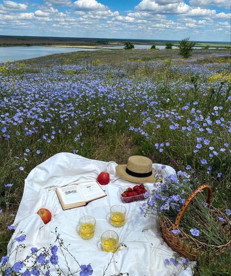 Picnic Day, Dream Dates, Picnic Birthday, Spring Birthday, Summer Painting, Picnic Date, Field Of Flowers, Spring Vibes, Flower Field