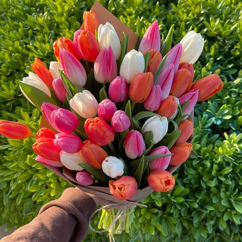 Tulips tulips TULIPS 🌷🫶🏼🥰 Dm to place your orders with @lilyyscreations 🌸🫶🏼 #flowerphotography #flowerbouquet #tulip #tulipseason #cottagecore #flowerfairies #flowers #florist