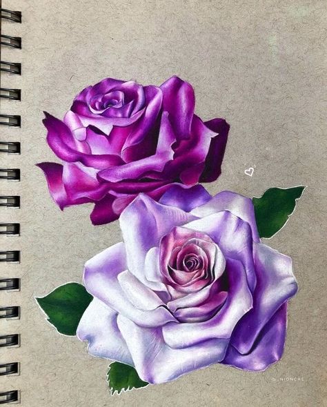 Pencil Colour Drawing Flower, Drawing With Colored Pencil, Realistic Rose Drawing, Realistic Flower Drawing, Colored Pencil Artwork Ideas, Pencil Inspiration, Roses Art, Prismacolor Art, Realistic Pencil Drawings