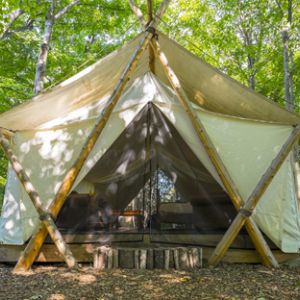 Retreat Business, Campground Ideas, Glamping Business, Inspirational Podcasts, Glamping Tents, Glamping Ideas, Camping Set Up, Business Guide, Vip Lounge