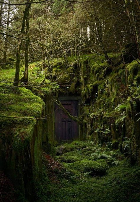 Legend says that a purple door means a witch lives there. Well, in a place this overgrown, ancient looking, and magical, who else would live here? Witches House, Urban Exploration, Abandoned Buildings, Alam Yang Indah, Cool Stuff, Magical Places, Nature Aesthetic, Pretty Places, Green Aesthetic