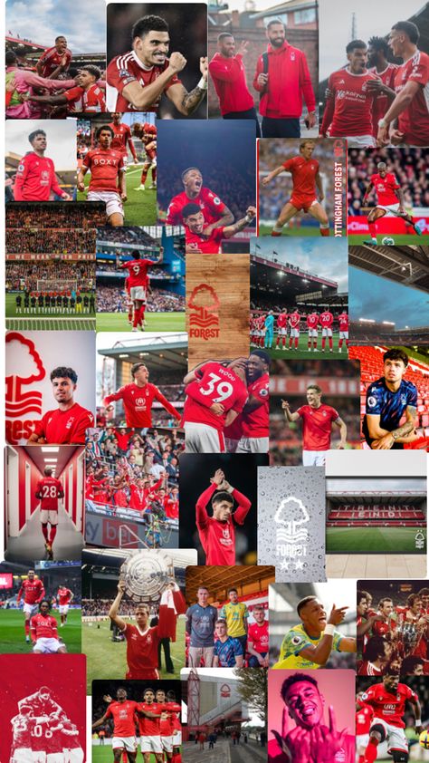 Nottingham Forest Fc, Nottingham Forest, Nottingham, Forest, Wood, 10 Things