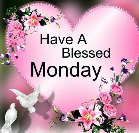 Have a blessed Monday monday blessings monday quotes happy monday Happy Monday Pictures, Cute Good Morning Pictures, Have A Blessed Monday, Blessed Monday, Monday Wishes, Monday Pictures, Happy Monday Quotes, Monday Morning Quotes, Monday Images