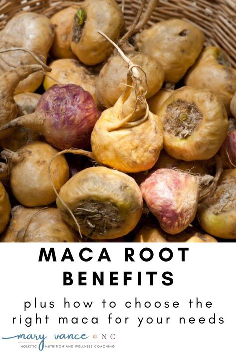 Maca Root Before And After, Macca Root Benefits For Women, Maca Root Benefits Men, Maca Root Benefits, Red Maca Root Benefits Woman, Maca Root Benefits Woman, Maca For Fertility, Red Maca Root, Maca Root Benefits Woman Fertility