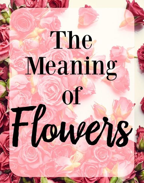 The Meaning of Flowers, Meaning of Color Roses, What do certain flowers mean, Which Flowers are Best, Flower Meanings Types Of Flowers And Meanings, Flowers And Meanings, The Meaning Of Flowers, Meaning Of Flowers, Tulips Meaning, Different Color Roses, Rose Meaning, Flower Tattoo Meanings, Giving Flowers