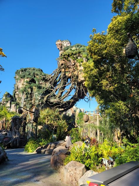 Animal Kingdom Aesthetic, Disney World Resorts Aesthetic, Magic Kingdom Aesthetic, Animal Kingdom Orlando Florida, Orlando Florida Aesthetic, Aesthetic Pandora, Disney World Florida Aesthetic, Princess Behavior, Disney World Pandora