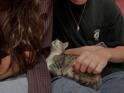 Cat With Boyfriend, Cat Parents Aesthetic, Couple And Cat Aesthetic, Cat Cafe Pictures, Black Cat Gf And Golden Bf Aesthetic, Two Cats Aesthetic, Couple With Cat Aesthetic, Cat Parents Couple, Golden Retriever Boyfriend Black Cat Girlfriend