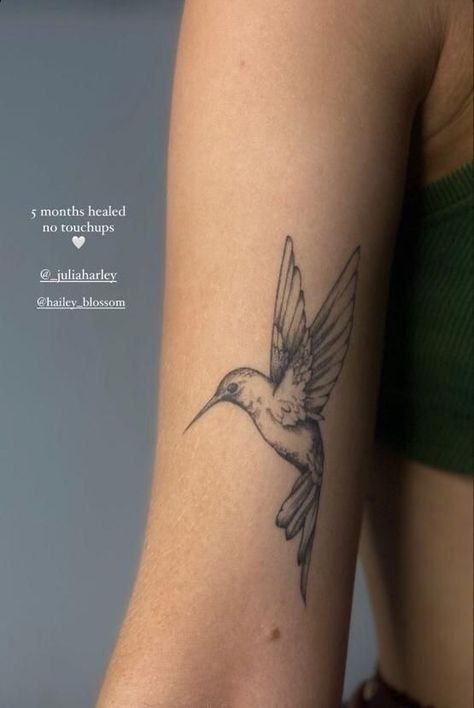 Back Bird Tattoos For Women, Detailed Hummingbird Tattoo, Hummingbird Bicep Tattoo, Dainty Cover Up Tattoo, Humming Bird Tattoo Meaning, Bird Back Tattoos For Women, To Be Loved Is To Be Changed Tattoo, Humming Bird Tattoos For Women, Bird Tatoos Woman