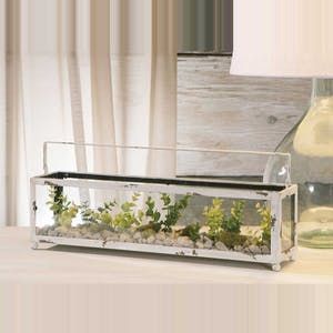 IMAX Silva Rectangle Terrarium - Out of Stock Rectangle Terrarium, Industrial Inspiration, Terrarium Containers, Earth Green, Moss Garden, Glass Bubble, Future House Ideas, Glass Terrarium, Stylish Lighting