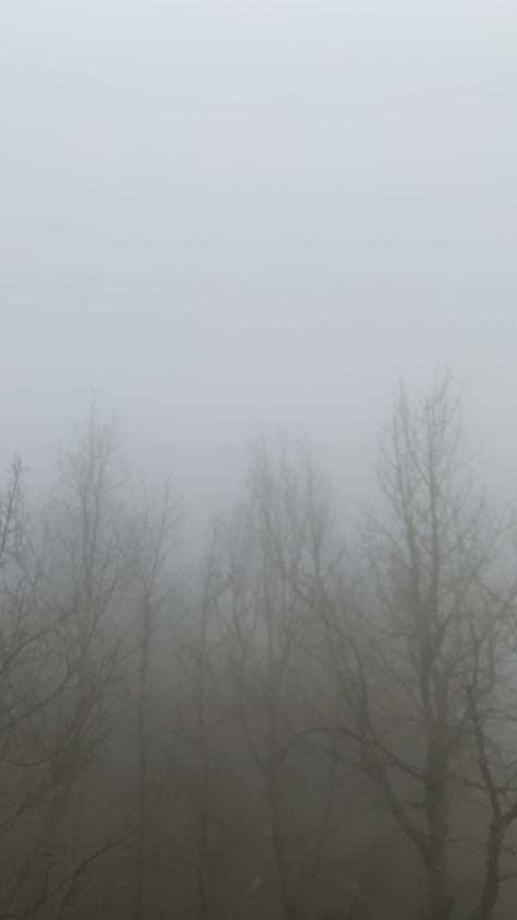 Fog Asethic, Winter Fog Aesthetic, Fog Aesthetic Wallpaper, Cold Weather Wallpaper, Gray Wallpaper Aesthetic, Wallpaper Aesthetic Winter, Winter Forest Wallpaper, Relaxing Thoughts, Foggy Aesthetic