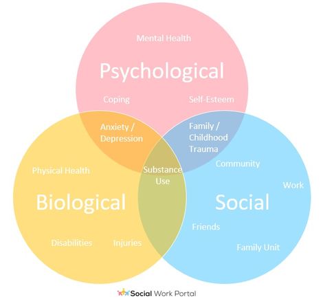 Best Biopsychosocial Model, Approach, Framework, and Factors | 2023 Job Aid – Social Work Portal Social Work Supervision Topics, Social Work Careers, Biopsychosocial Model, Social Work Infographic, Psychology Social Influence Revision, Social Work Supervision Template, Biopsychosocial Assessment Social Work, Social Work Theories, Work Infographic