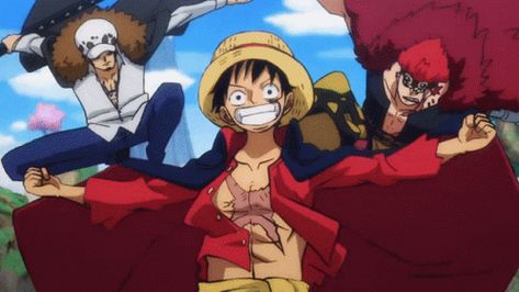 One Piece Kid, What Gif, One Piece Characters, The Straw Hat Pirates, Law One Piece, One Piece Bounties, One Piece Monkey D Luffy, Straw Hat Pirates, One Piece Gif