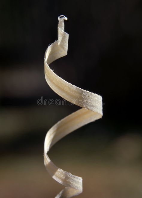 Wood chip. Small spiral wood chip , #SPONSORED, #chip, #Wood, #Small, #wood, #spiral #ad Chip Drawing, Wood Shavings, Wood Chips, Business Icons, Business Icons Design, Icons Design, Shaving, Stock Images Free, Pine Wood