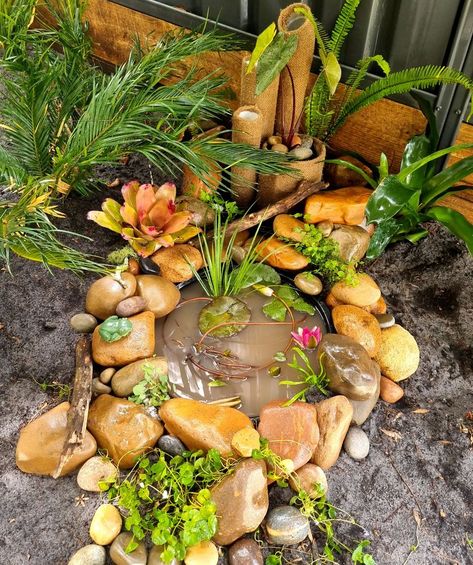 Frog Hotel & Lilly Pond Toad Homes Garden Ideas, Frog Hotel Ideas, Build A Frog, Frog Hotel, Sanctuary Garden, Frog Facts, Frog Habitat, Lilly Pond, Toad House