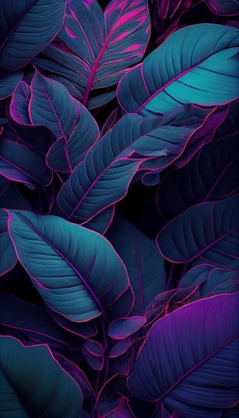 Dark Color Wallpaper Aesthetic, Dark Purple Background, Neon Jungle, Nature Iphone Wallpaper, Neon Art, Beautiful Nature Wallpaper, Iphone Background Wallpaper, Pretty Wallpapers Backgrounds, Background Pictures