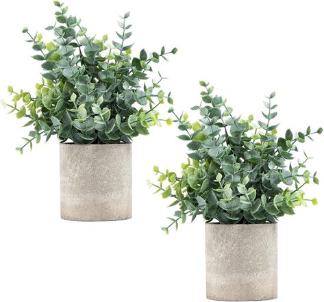 Amazon.com: Coferset 2 Pack Small Fake Plants Eucalyptus Potted Artificial Plants for Shelf Desk Home Bathroom Farmhouse Room Coffee Table Decor (Sage Green) : Home & Kitchen Fake Eucalyptus, Small House Plants, Bathroom Farmhouse, Farmhouse Room, نباتات منزلية, Artificial Eucalyptus, Artificial Potted Plants, Shelf Desk, Amazon Link