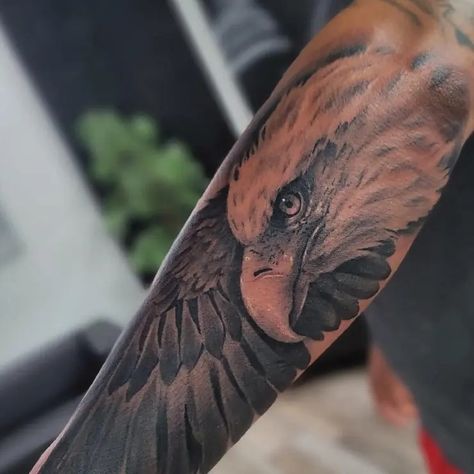 Bald Eagle Half Sleeve Animal Tattoo Idea & Design on Forearm Bald Eagle Half Sleeve Tattoo Done At Eagle Tattoos Men, Sleeve Animal Tattoo, Tattoos Men Forearm, Eagle Half Sleeve Tattoo, Bald Eagle Tattoos, Eagle Tattoos, Eagle Tattoo, Memorial Tattoo, Memorial Tattoos