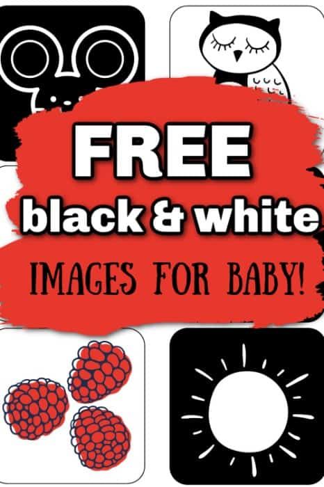 free black and white images for baby Newborn Black White Cards, High Contrast Newborn Printable, Black And White Pictures For Newborns, Free Printable High Contrast Cards, Free Printable High Contrast Cards For Newborns, Newborn Flashcards Free Printable, High Contrast Images For Newborns, Newborn Contrast Cards, High Contrast Baby Images