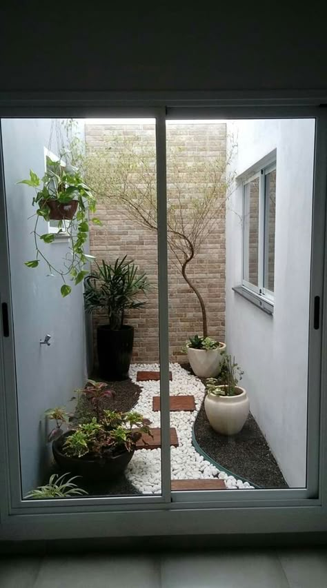 Airwell Garden, Small Atrium Ideas Indoor, Small Indoor Courtyard Ideas, Airwell Design, Ots Design In House, Small Indoor Courtyard, Patio Interior Pequeño, Indoor Courtyard Garden, Gardening Tattoo