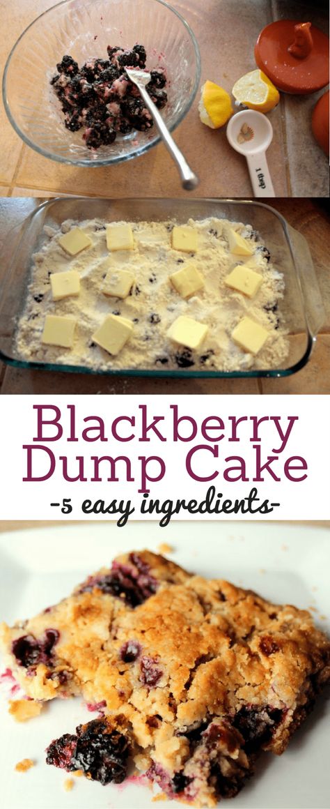 Blackberry Dump Cake, Cake Blackberry, Cake Mix Cobbler, Mix Berry, Blackberry Dessert, Weight Watcher Desserts, Blackberry Crumble, Blackberry Cake, Dessert Oreo