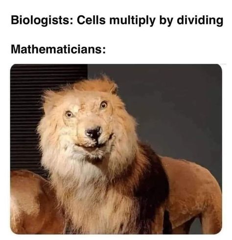 Biology Jokes, Biology Memes, Nerd Memes, Nerdy Jokes, Nerdy Humor, Studying Memes, Nerd Jokes, Funny Science Jokes, Teacher Memes