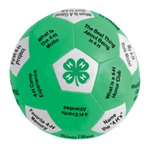 In need of an ice breaker for camp? 4h Meeting Ideas, 4-h Games, 4 H Meeting Activities, 4-h Meeting Ideas, 4h Meeting Activities, 4h Games, 4h Cloverbud, Rec Games, Meeting Ice Breakers