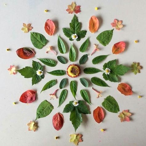 I Create Mandalas From Things I Find In Nature As A Way To Meditate Plant Mandala, Natural Mandala, Nature Mandalas, Mandala Nature, Order Out Of Chaos, Nature Materials, Nature Mandala, Mother Nature Tattoos, Creative Arts Therapy