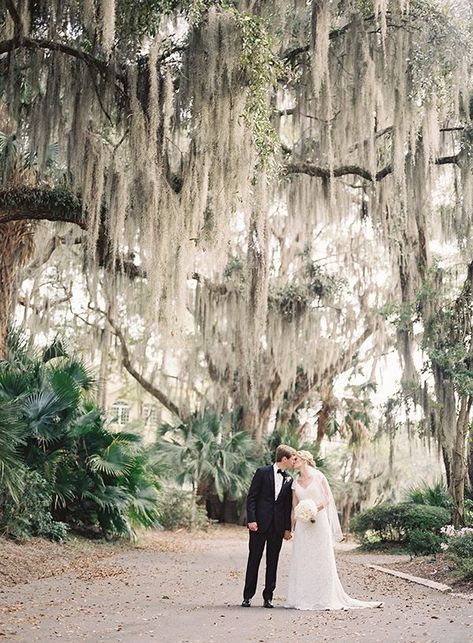 Spanish Moss Wedding, Spanish Moss Trees, Moss Tree, Moss Wedding, Bridal Cake, Hilton Head South Carolina, Hilton Head Wedding, Romantic Garden Wedding, Isle Of Palms