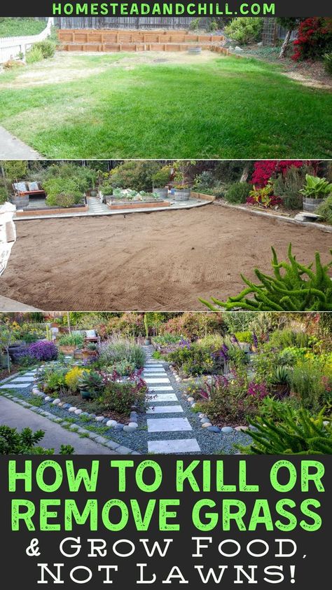 No Lawn Landscaping Ideas, Lawn Ideas Landscaping Backyards, Easy Lawn Ideas Front Yards, Reduce Grass In Backyard, Replace Lawn With Garden, Alternative Front Yard Landscaping, How To Xeriscape, No Mow Yard Ideas, Grass To Patio Transition