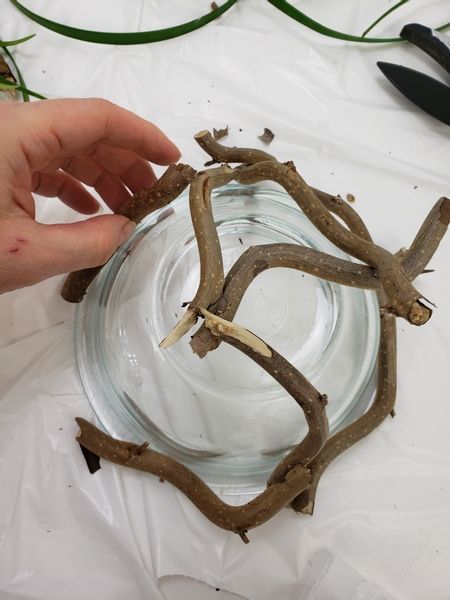 Place the twig snippets all around the bowl and secure them with hot glue Twig Crafts Diy, Twig Art Diy Tree Branches, Crafts With Sticks And Twigs, Bushel Basket Ideas Decor, Diy Twig Wreath, Wooden Bowls Decor Ideas, Tree Branch Decor Diy, Wooden Bowls Decor, Stick Decorations