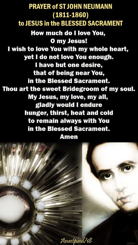 Saints John and Alphonsus Saint John Neumann left, among his personal writings, a prayer that, by its language and tenderness, is reminiscent of the outpourings of his spiritual father, Saint Alphonse Liguori, in the presence of the Blessed Sacrament. It reveals something of the soul of Bishop Neumann:  How much do I love You,  O my Jesus! I wish to love You with my whole heart,  yet I do not love You enough. I have but one desire...#mypic St John Neumann, Spiritual Father, St Philip Neri, Catholic Gentleman, Morning Offering, The Blessed Sacrament, Holy Eucharist, My Jesus, St John Vianney