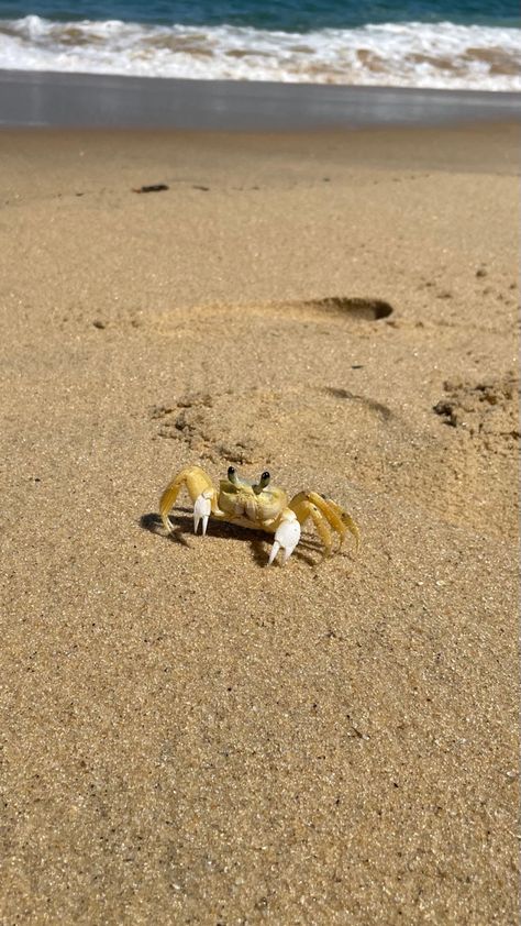 Beach Fake Story, Fake Story Insta, Ocean Life Photography, Father Love Quotes, Summer Kid, Jungle Life, Doraemon Cartoon, The Blue Lagoon, Sea Photography