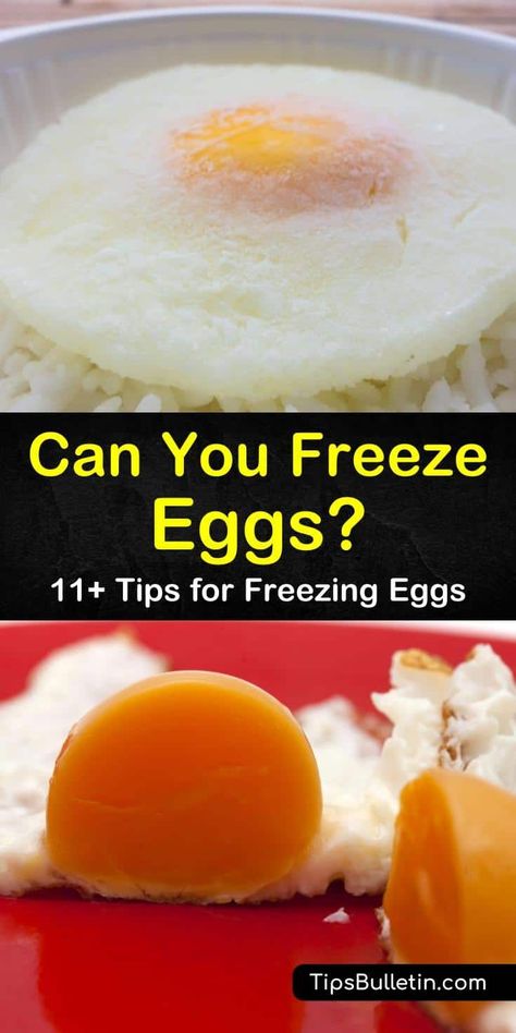 Learn how to prepare scrambled eggs for a pre-made frozen breakfast that you can pop into the microwave. While you should not freeze eggs in the shell, we’ll show you how to store raw eggs in ice cube trays in the freezer. #freezingeggs #freezeeggs #frozeneggstorage Freezing Egg Whites, How To Freeze Eggs, Can You Freeze Eggs, Freeze Eggs, Amish Cookies, Mounds Cake, Breakfast Bundt Cake, Kitchen Knowledge, Pineapple Casserole