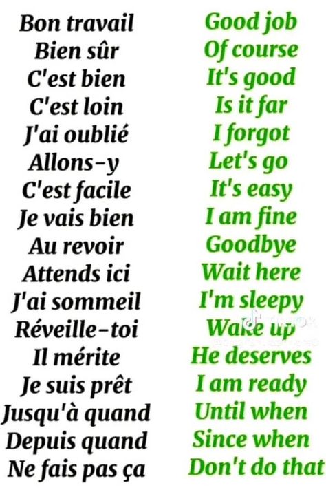 FRENCH & ENGLISH | Facebook French Basic Phrases, English To French Words, French To English Language Learning, English French Vocabulary, Basic Words In English, Learn France, France Learning, Studying French, English To French