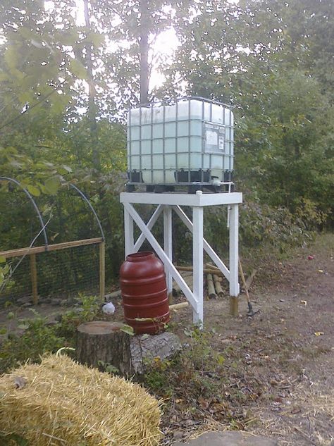 Rain Barrel System, Water Collection System, House Florida, Water Barrel, Water Storage Tanks, Water Collection, Rainwater Harvesting, Rain Barrel, Rain Water Collection