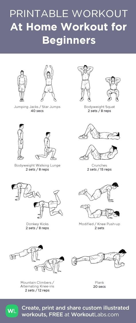 Workout Morning, Workout Labs, Workout Fat Burning, Beginner Workout At Home, Printable Workout, Muscle Abdominal, Beginner Workouts, Pilates Training, Muscles In Your Body